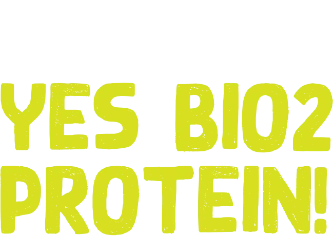 No Whey Yes Protein