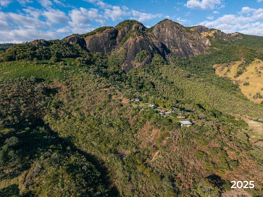 Floresta biO2 Depois reflorestamento