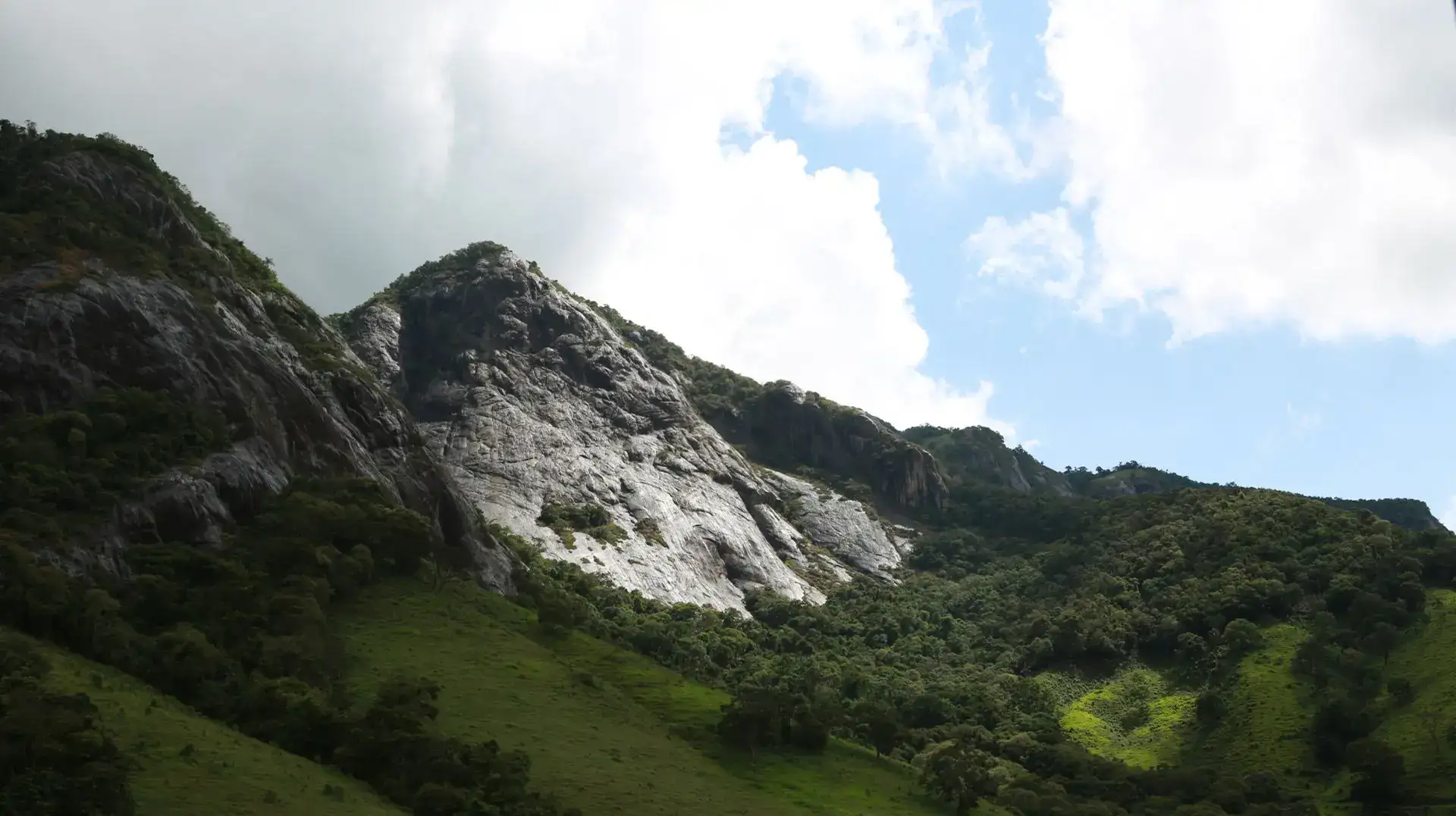 Foto da Floresta biO2 que mostra a montanha com floresta e duas pedras imponentes